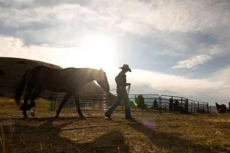 Discover the American Cowgirls Reshaping Modern Farm Life