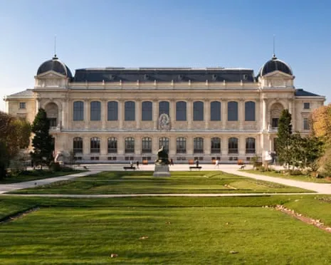 Historic Gold Specimens Stolen in Bold Robbery at France's Natural History Museum